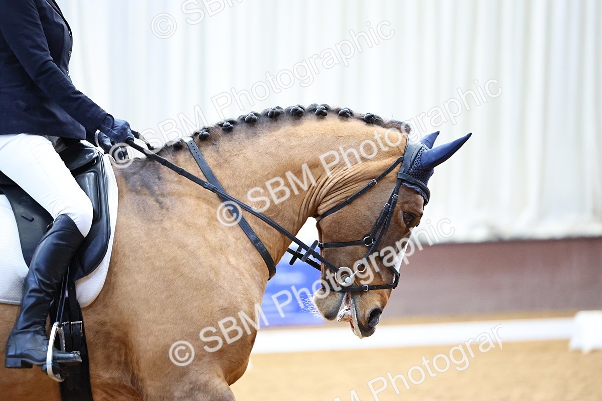 026A1352 - Class 4 - Novice 4