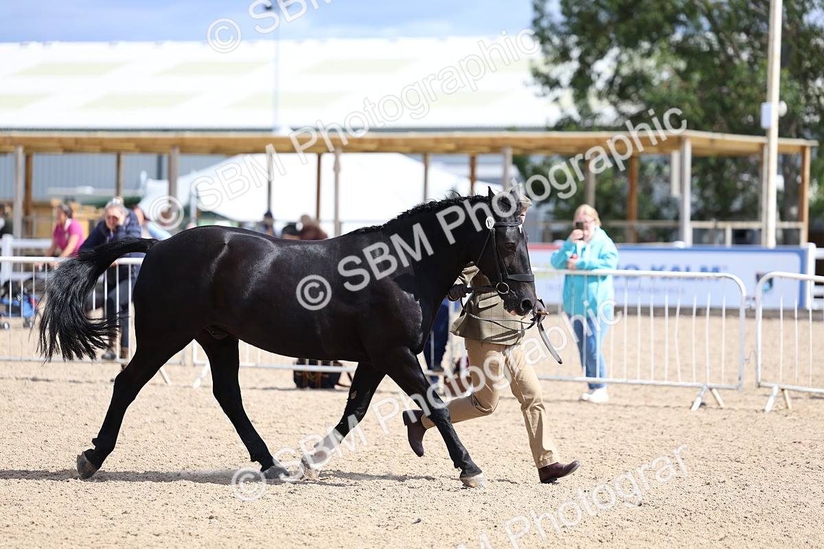 SBM_15413