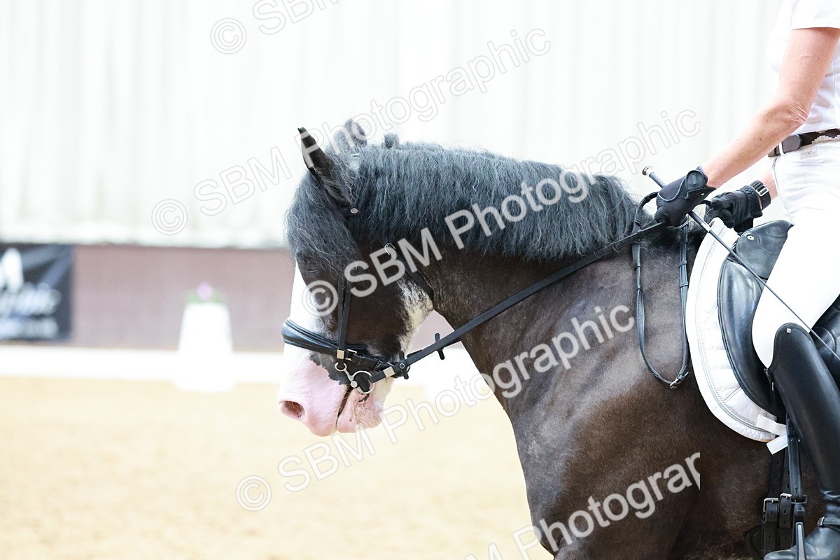 SBM_008397 - Prelim 5 - 12.16-14.11