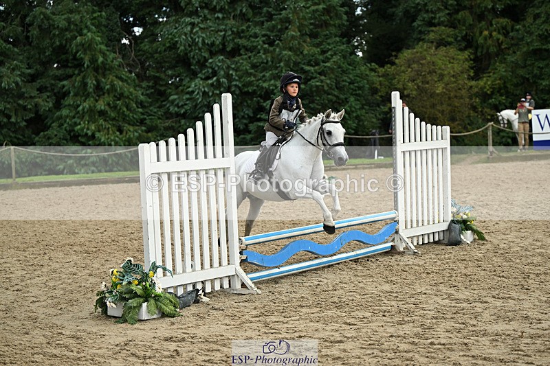 240822X-150828-10687 - 50cm R1 15.00 to 16.00