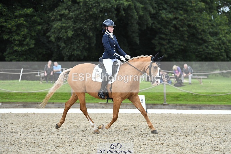 230812-123925-04183 - Cls 6 Novice Silver 12.10 to End