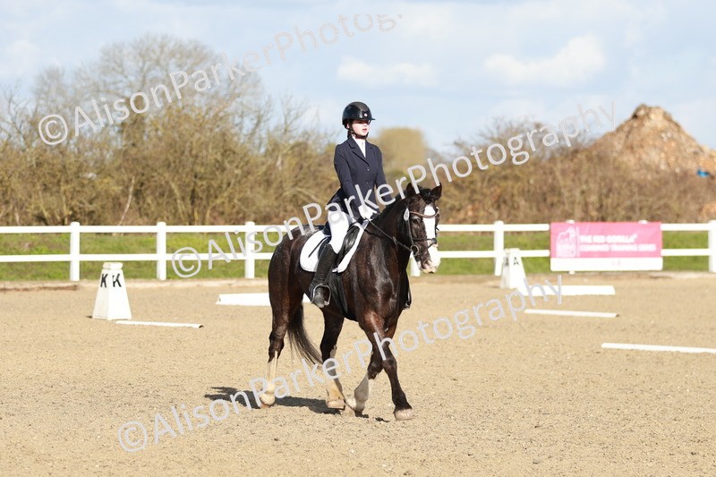 20260314-4533 - DR4 - Prelim 2