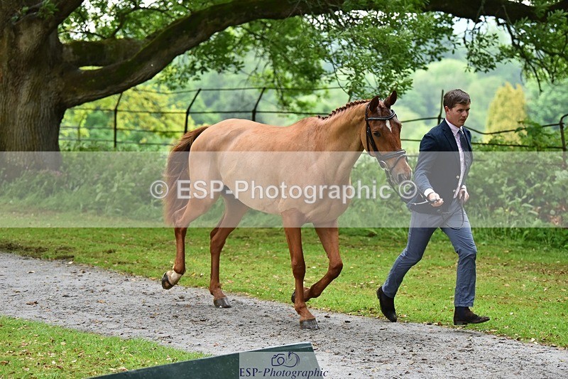 240522-162752-00932 - 273-LUSUELA-Will_Furlong