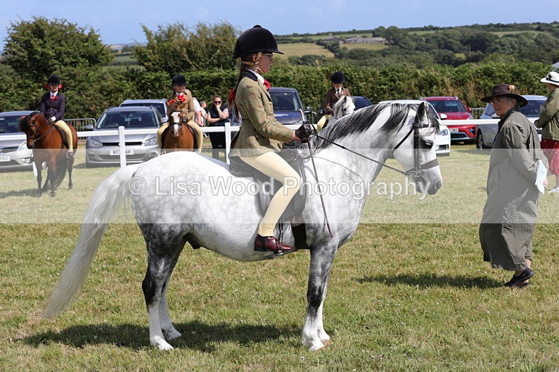 1X9A5368 - Class 37: NPS M&M First Ridden