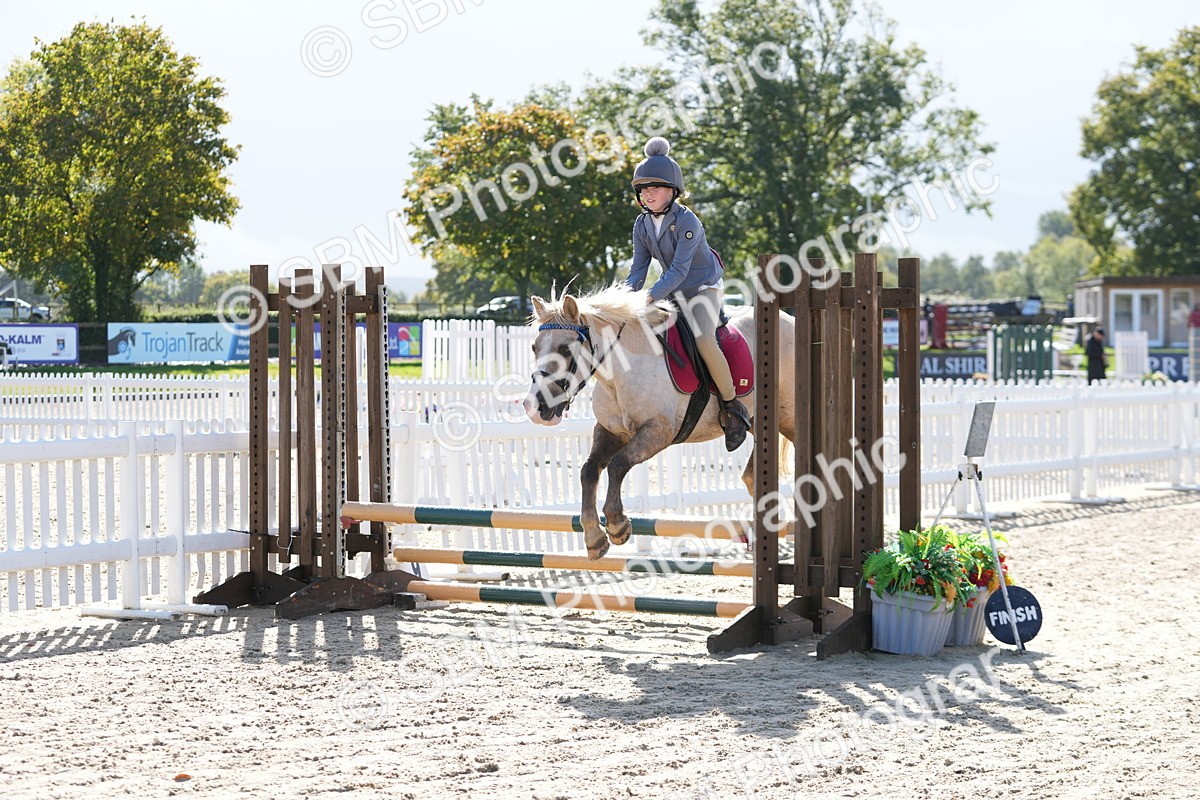 SBM_38319 - J6 - Junior Pony 55cm Championship