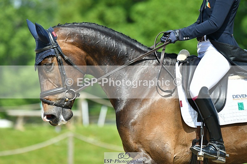 230525-105137-03993 - 416-CLEVER_TRICK-Susie_Berry-DR