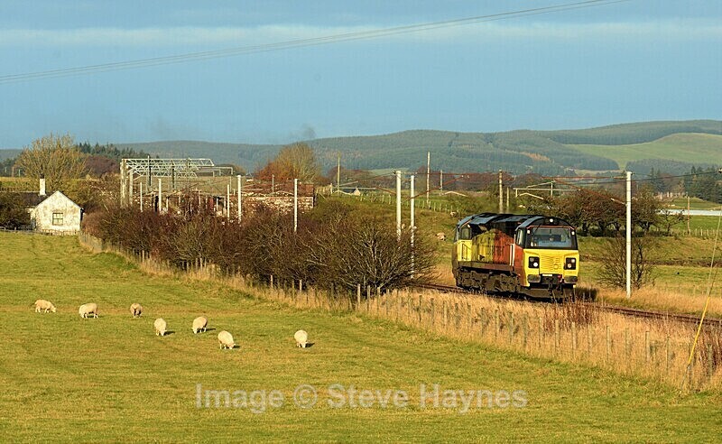 10th Nov 2019 - Lamington, South Lanarkshire (WCML)