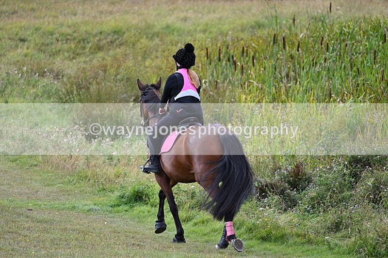 WJ7_6087 - Time 11:50 to 12:09