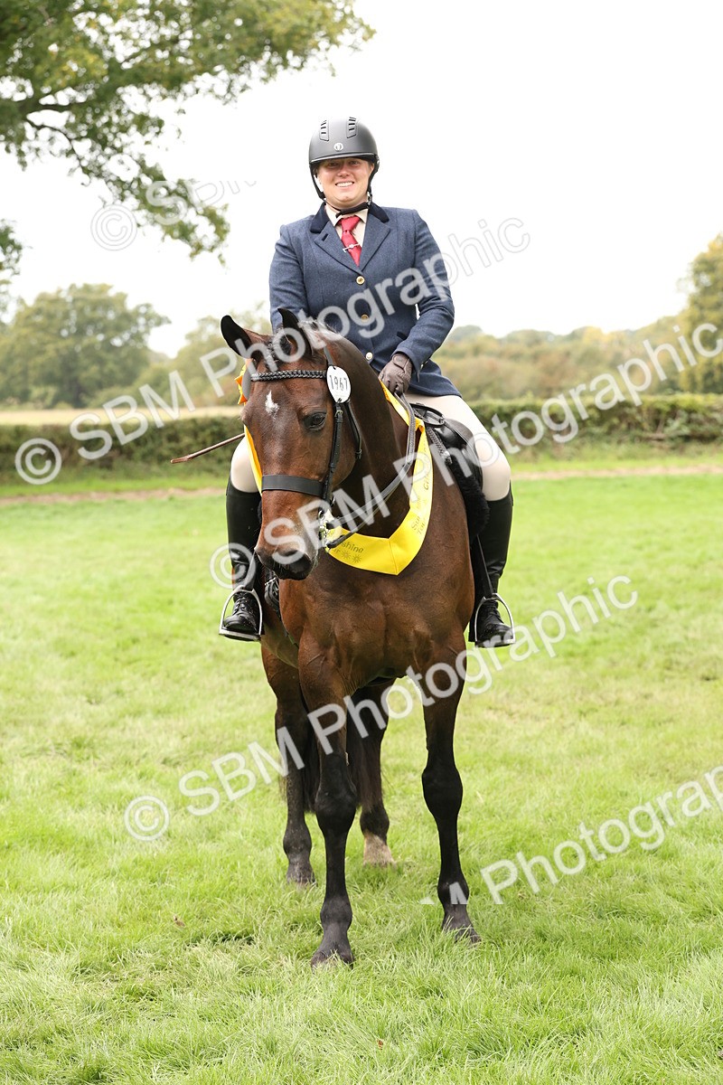 SBM_63050 - S64 - Foreign Breeds Ridden