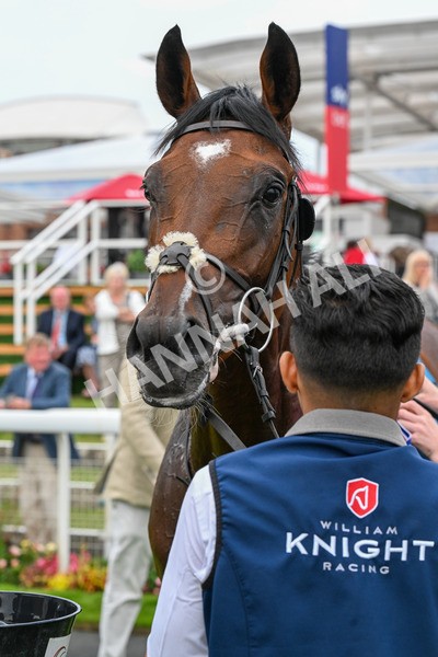 250725-Race 3-Amakhala Warrior-0557 - Race 3 6.38pm Ire-Incentive, It Pays To Buy Irish EBF Restricted Novice Stakes