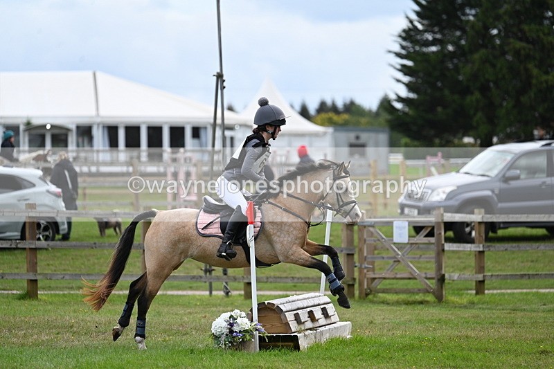 WJ7_8887 - 60cm Time 12:31 to 12:50