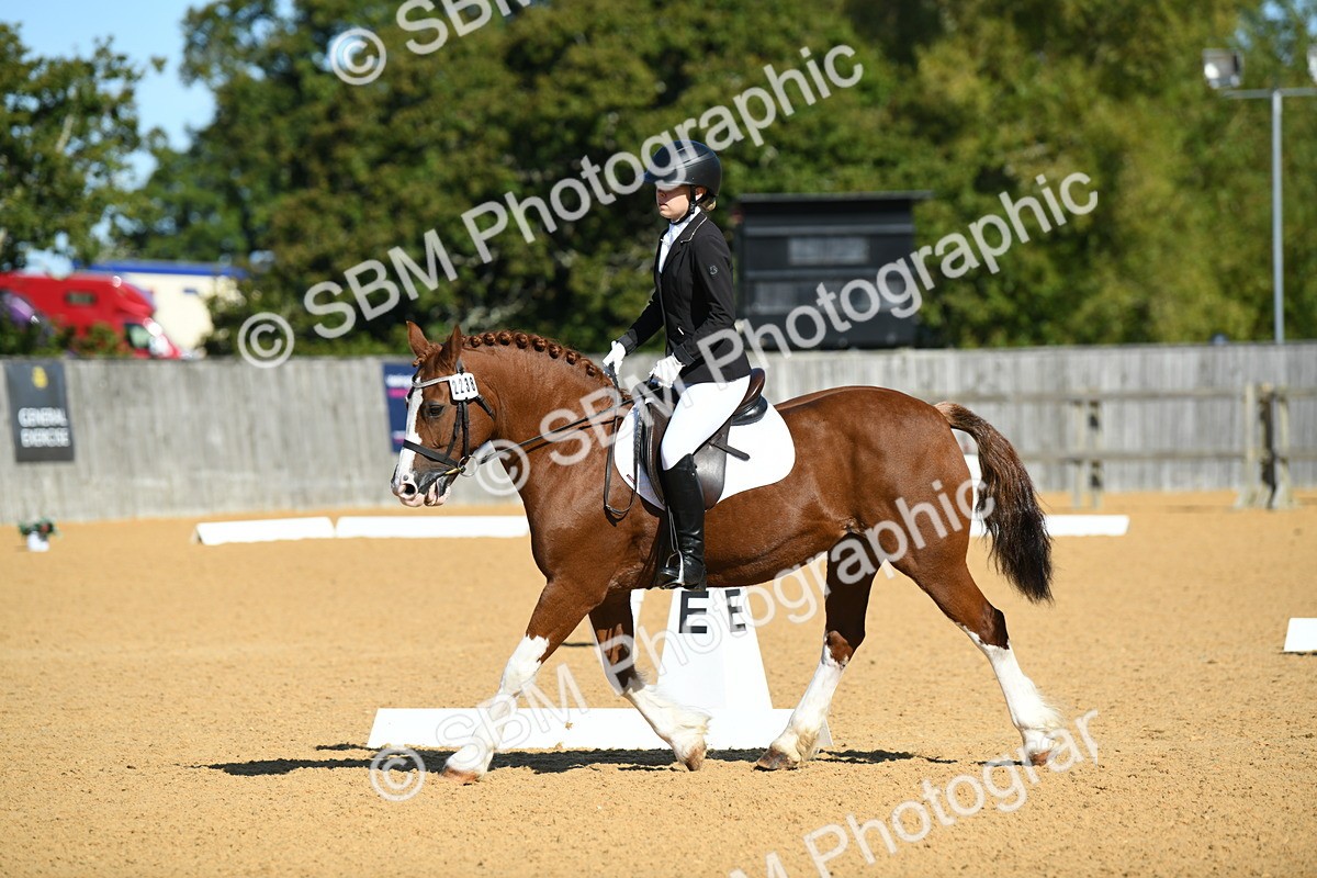SBM_18023 - D4 - Small Tour Championship - Intro B