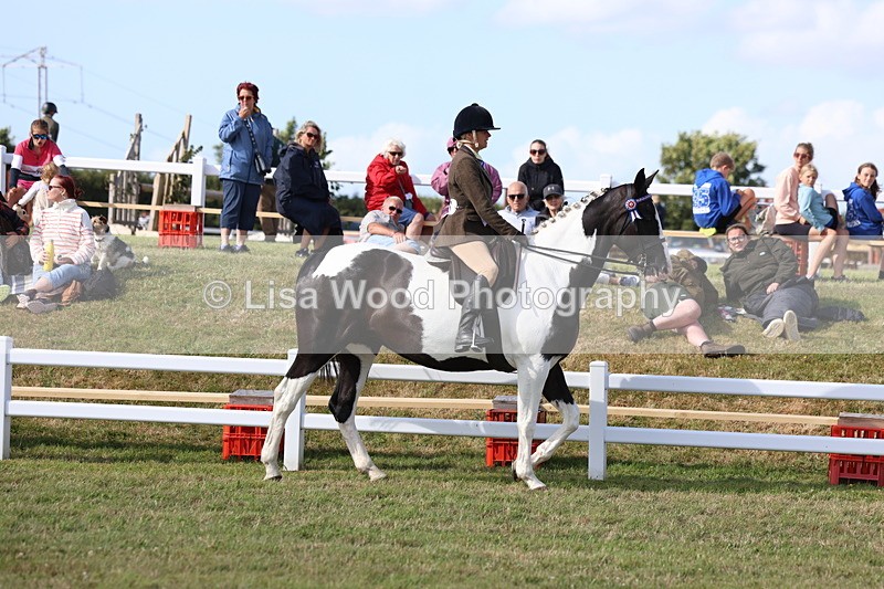 3E7A3790 - Supreme Championship