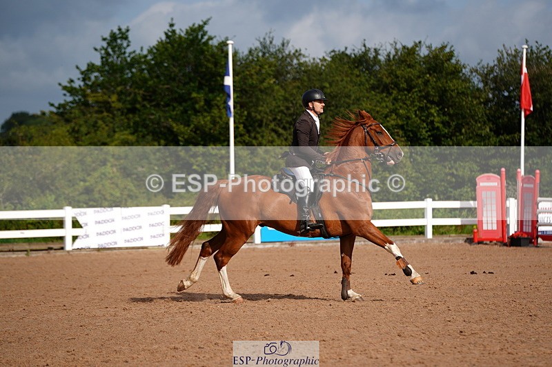 240803A-091354-06480 - Cls 34 British Novice and 90cm Open
