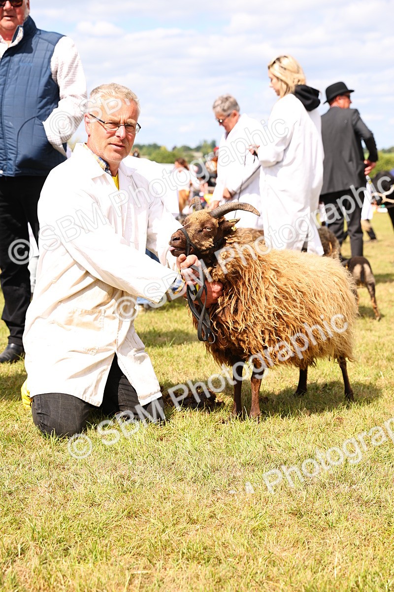 SBM_16976 - Grand Parade