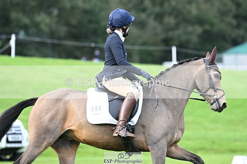 231020-161447-11643 - 558-BATHLEYHILLS.GOLDEN.SPRAY-Cleo.Whitbread-DR