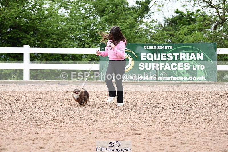 240518A-112054-00753 - Cls 1 Cutest Puppy