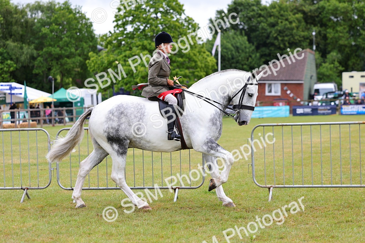 SBM_02616 - Class 9-11 Side Saddle including LIHS Rising Star Ladies Show Horse