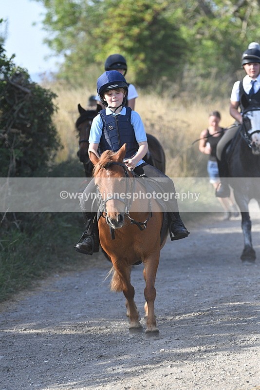 WJ5_5036 - Walk out with the hounds