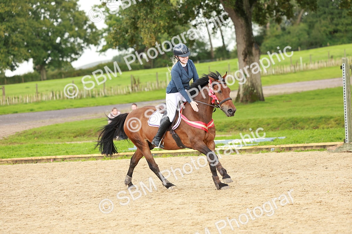 SBM_38506 - Supreme Championship 80cm 85cm