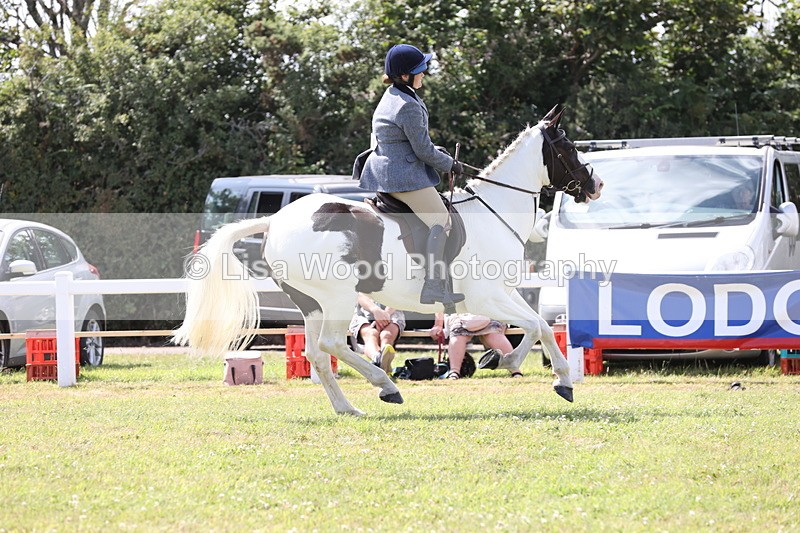 JPP_2209 - Class 19: Working Hunter 60cm