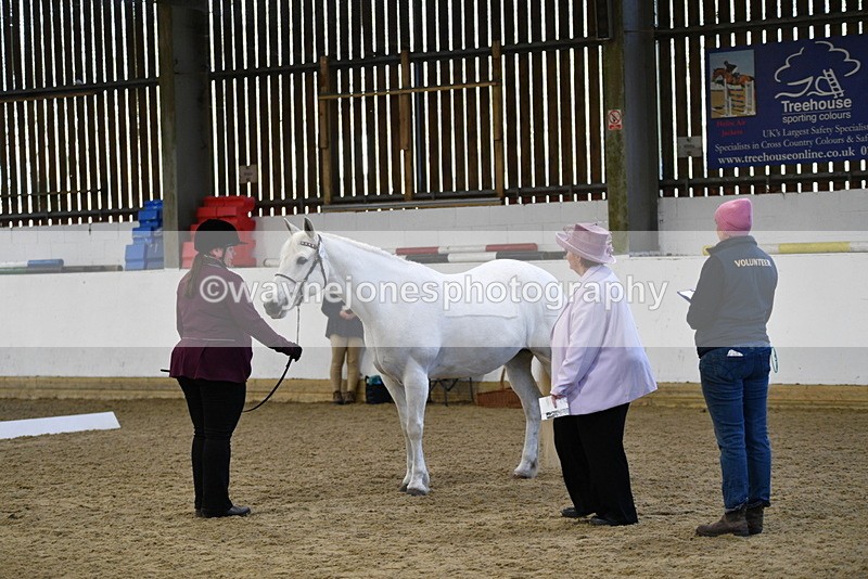 WJ5_3688 - Class 5 In Hand Veterans