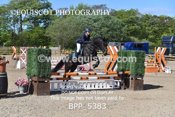 BPP_5383 - CLASS 22 SUN Club/ Unaffiliated 80cms Open