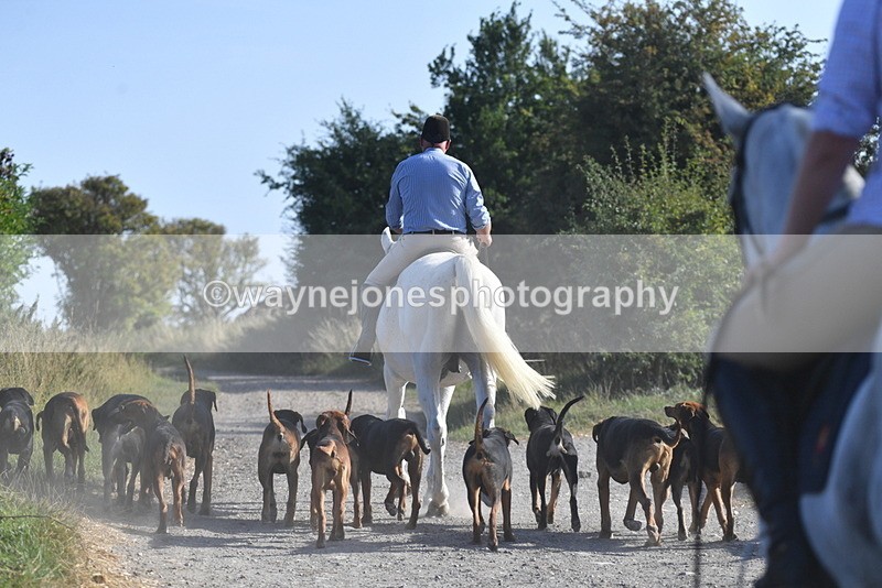 WJ5_4823 - Walk out with the hounds