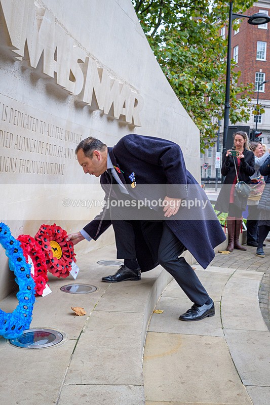 NGP_8268 - 2024 Animals in War Remembrance Gathering