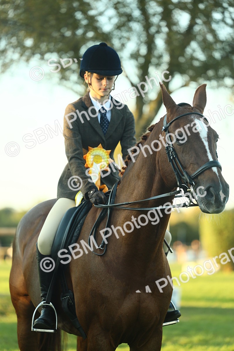 SBM_56564 - S14 - Riding Club Horse