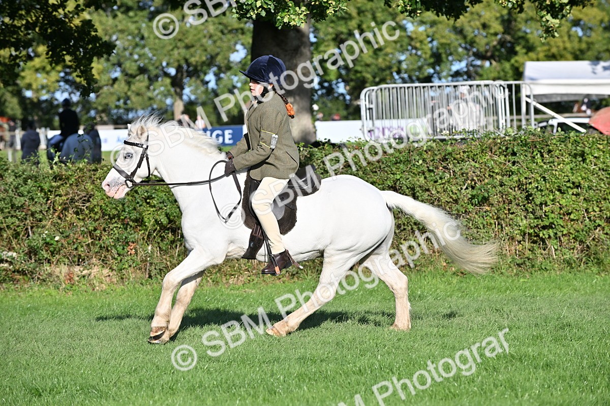 SBM_53051 - S23 - First Ridden Mountain & Moorland Pony