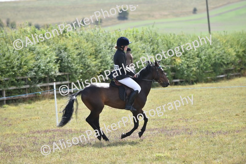 20250831-4032 - Class 12 - Working Hunter Pony 14.2hh and Under