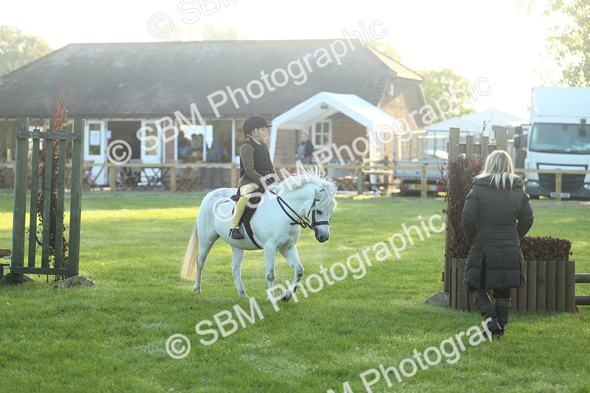 SBM_31804 - S28 - Nursery Stakes Working Hunter Pony