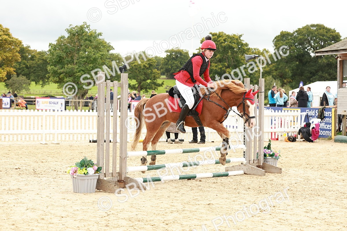 SBM_62073 - J12 - Junior Pony 55cm Championship