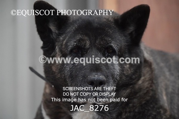 JAC_8276 - 1 METRE