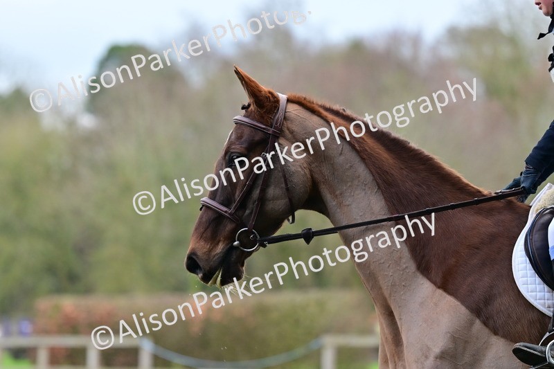 20260125-3972 - Class 12 - Novice