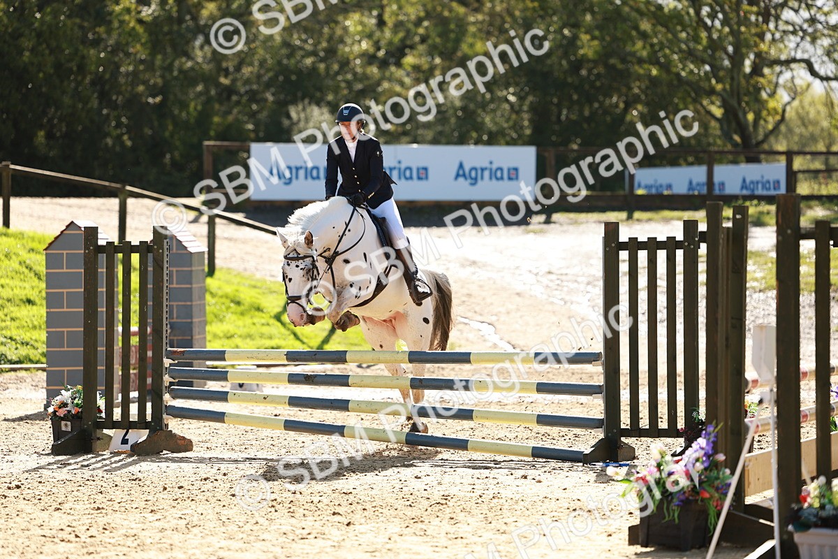 SBM_38010 - J39 - Senior Horse & Pony 85cm Championship