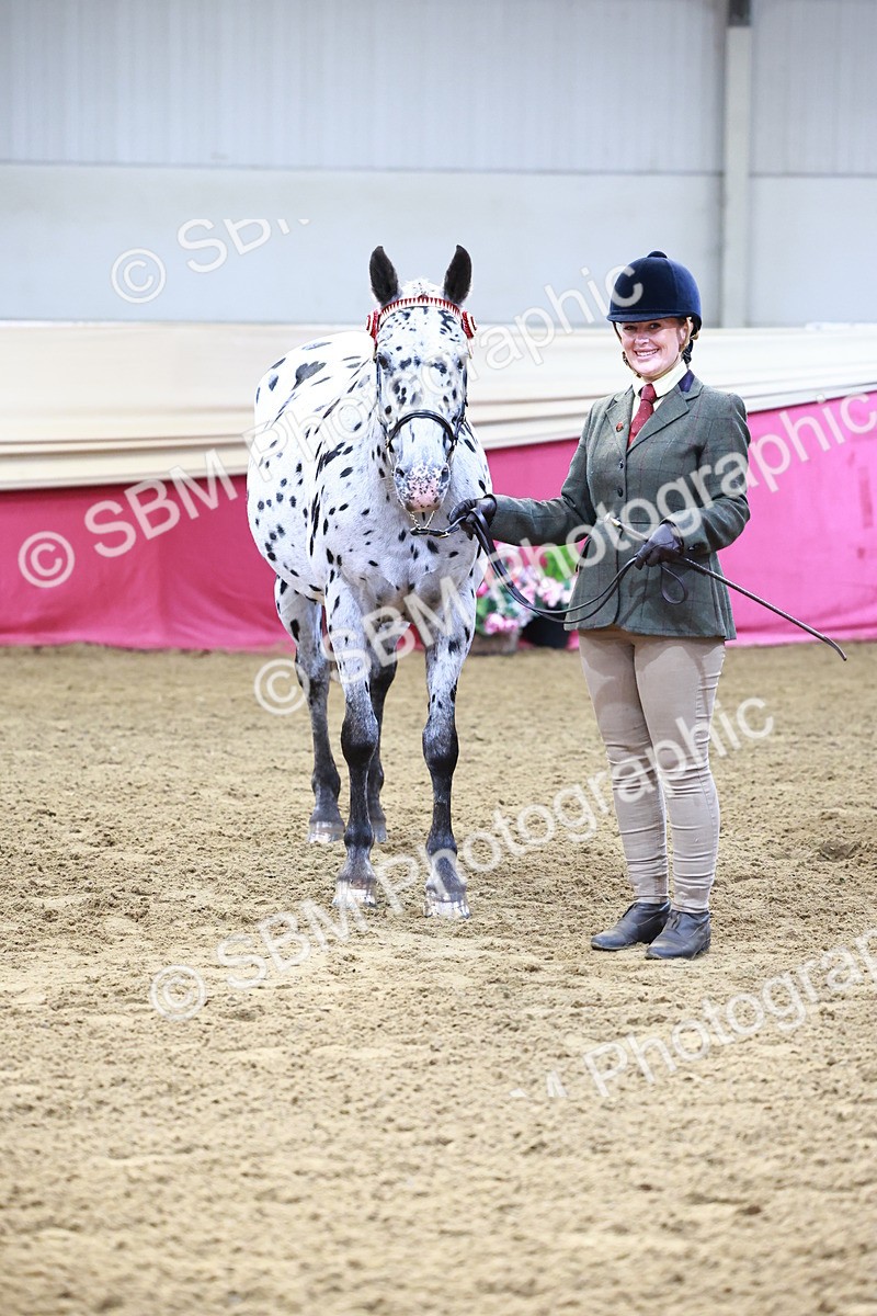 SBM_21817 - Class 901 - Supreme Final - IH  Diamond