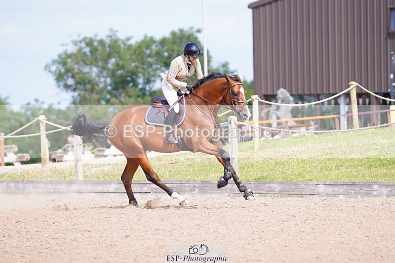 240802A-101134-03531 - Cls 15 Foxhunter