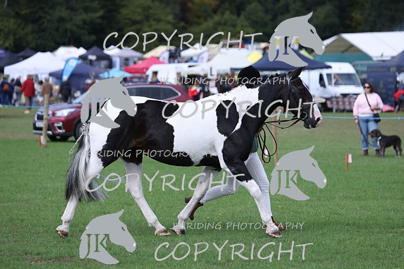 APP_2681 - Class 9 Veterans in hand