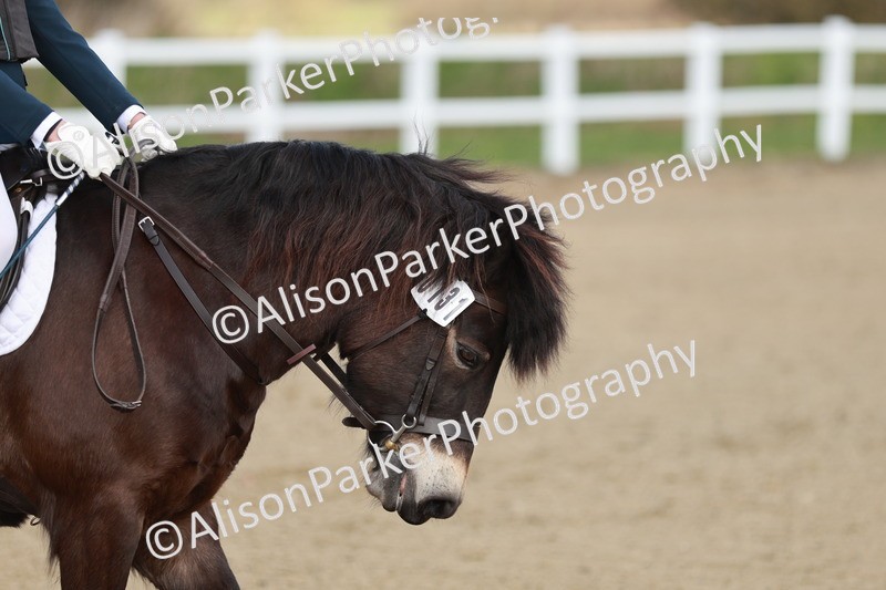 20260314-1088 - DR2 - Intro 3