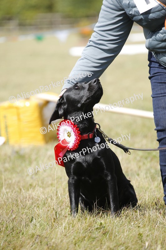 20250831-3821 - Dog Show