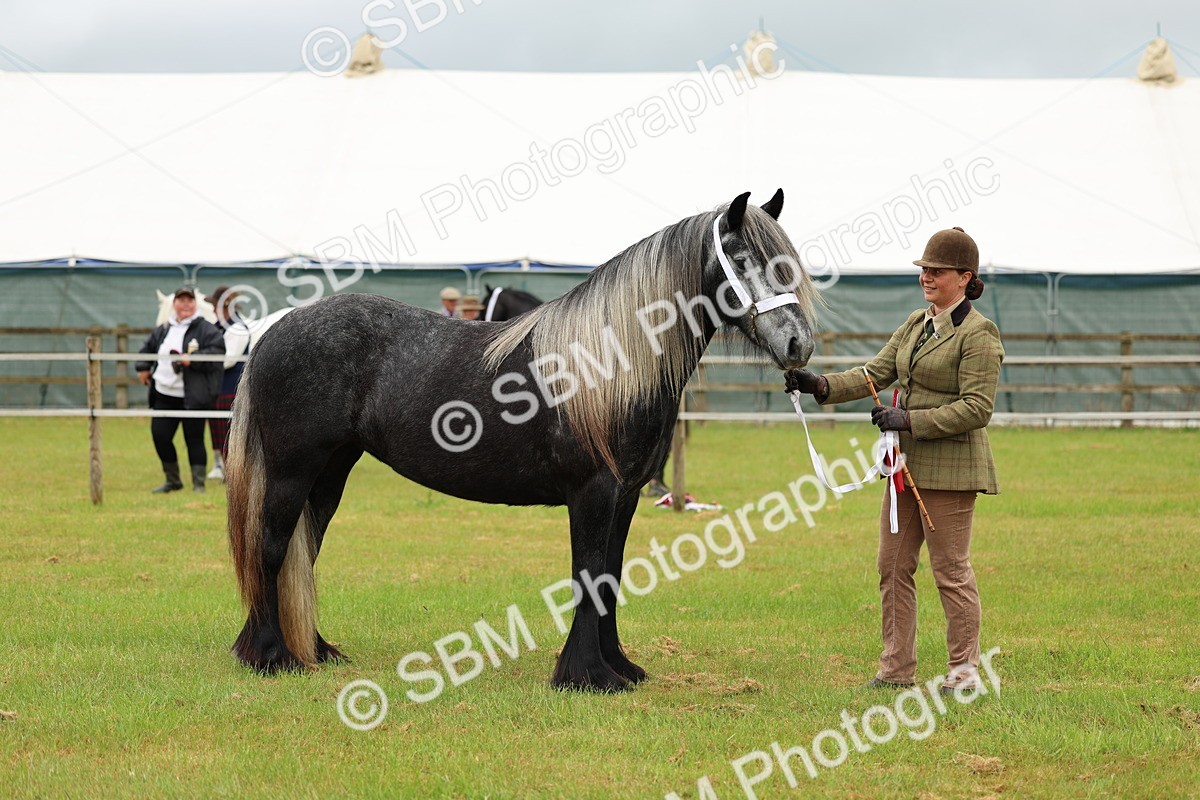 SBM_00435 - Class 58-67 - M&M Non Welsh Pony In hand