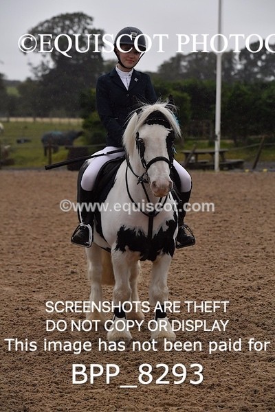 BPP_8293 - CLASS 1 Club/ Unaffiliated 60cms Open