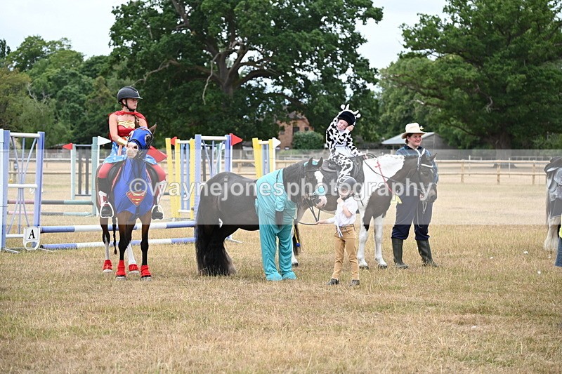 WJ6_9187 - Class 11 Fancy Dress