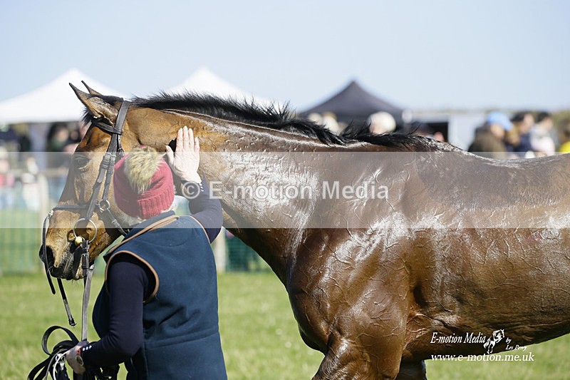 PtP 190322 425 - Wilton Hunt PtP Milborne St Andrew 19/03/22