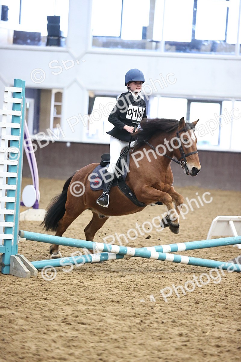 SBM_000147 - Class 2 - The Rug Lady 40cm Area 12 Championship Qualifier