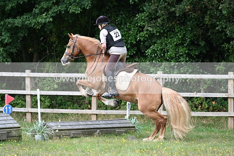 WJ7_0313 - XC Time 10:05 to 12:27