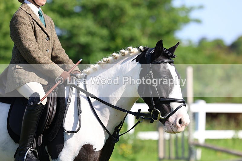 3E7A6007 - Class 27: Novice Working Hunter Pony