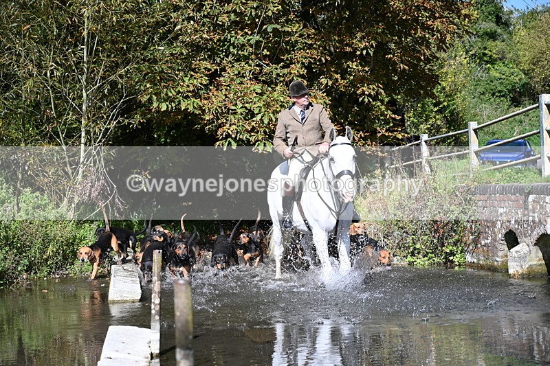 WJ7_5933 - Hounds Water Crossing